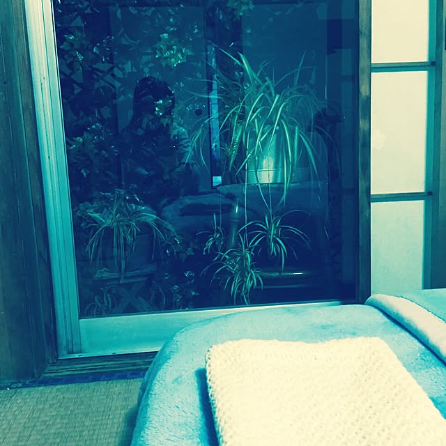 sachanさんの実例写真