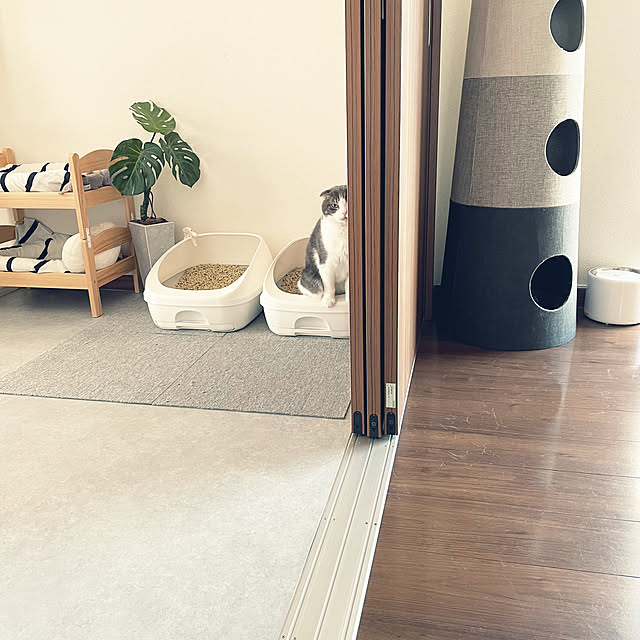 tansukeさんの実例写真