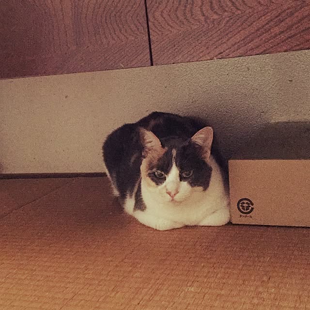 yumasukeさんの実例写真