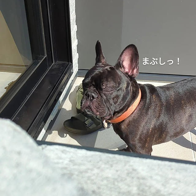 Ameさんの実例写真