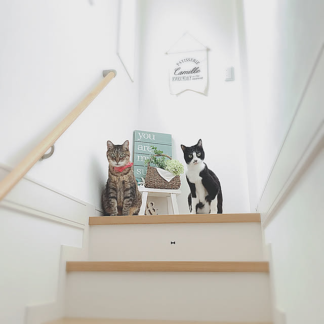 lovecatさんの実例写真
