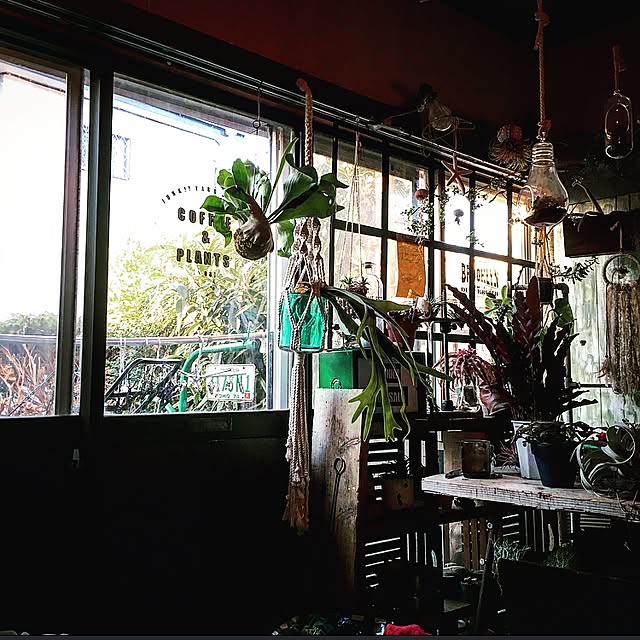 edenさんの実例写真