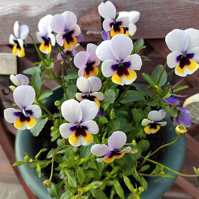 kiraさんの実例写真