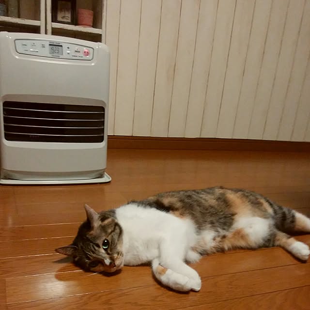 tomo1220さんの実例写真