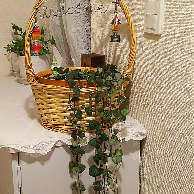 mmpoohさんの実例写真