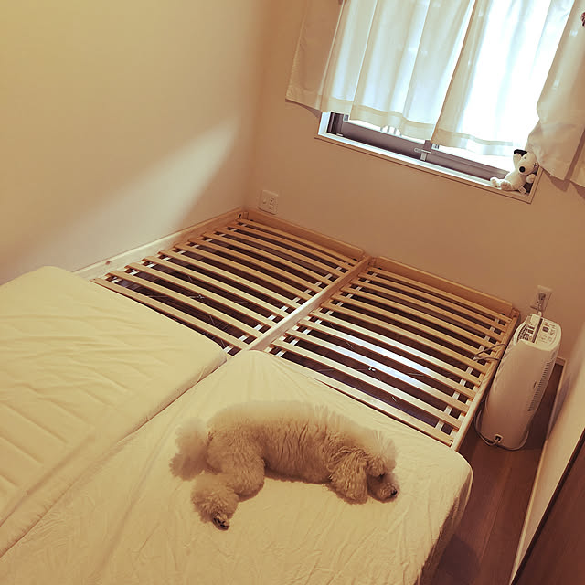 utaさんの実例写真