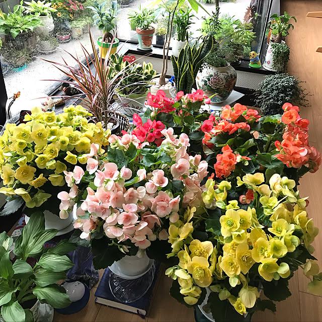 fuyiqian1026さんの実例写真