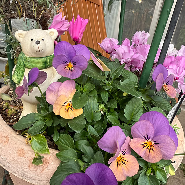 Aqettyさんの部屋