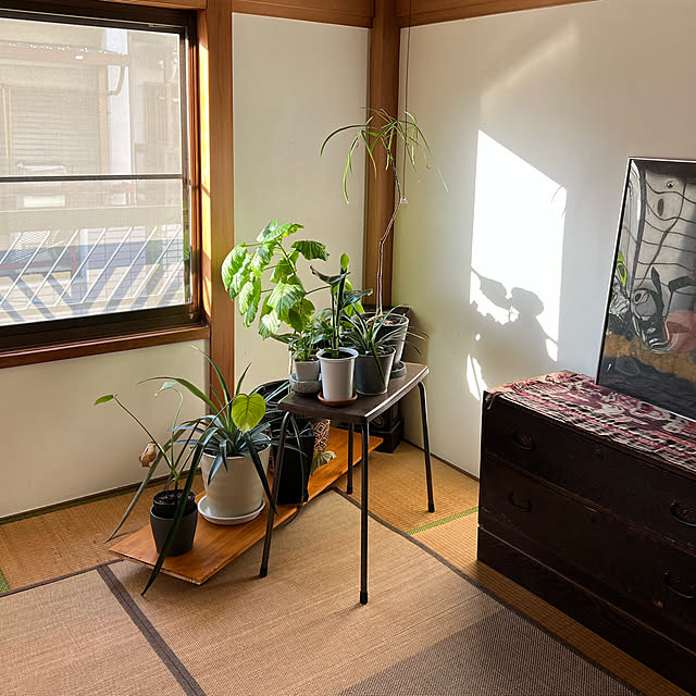 hirominkoさんの実例写真