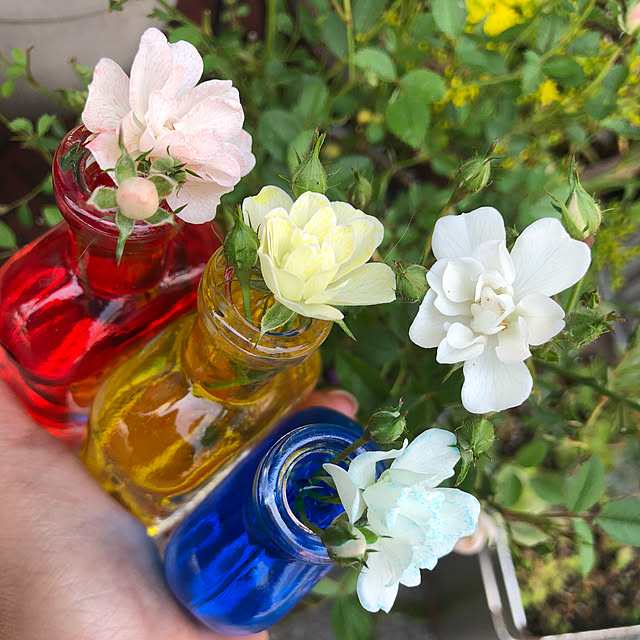 beautifulflowerさんの実例写真