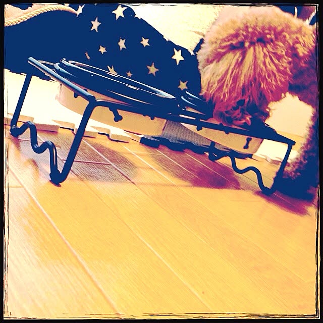 rainbow.kaoさんの実例写真