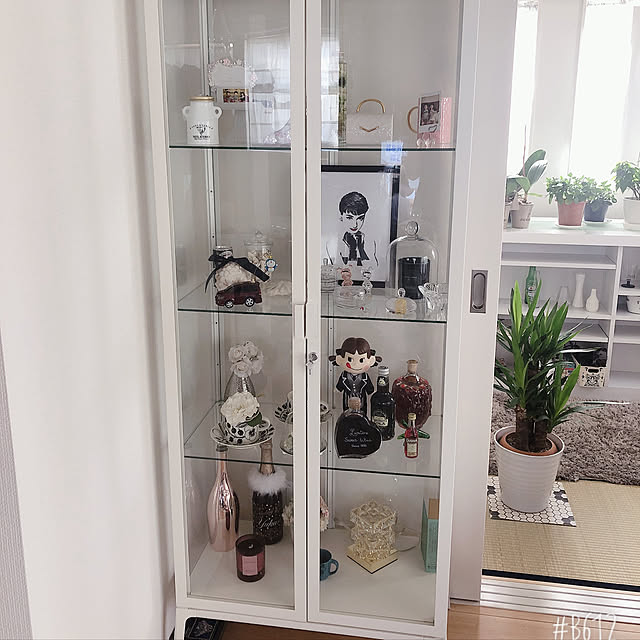 IKEAのガラスキャビネットのおすすめ商品とおしゃれな実例 IKEAのガラスキャビネットのおすすめ商品とおしゃれな実例