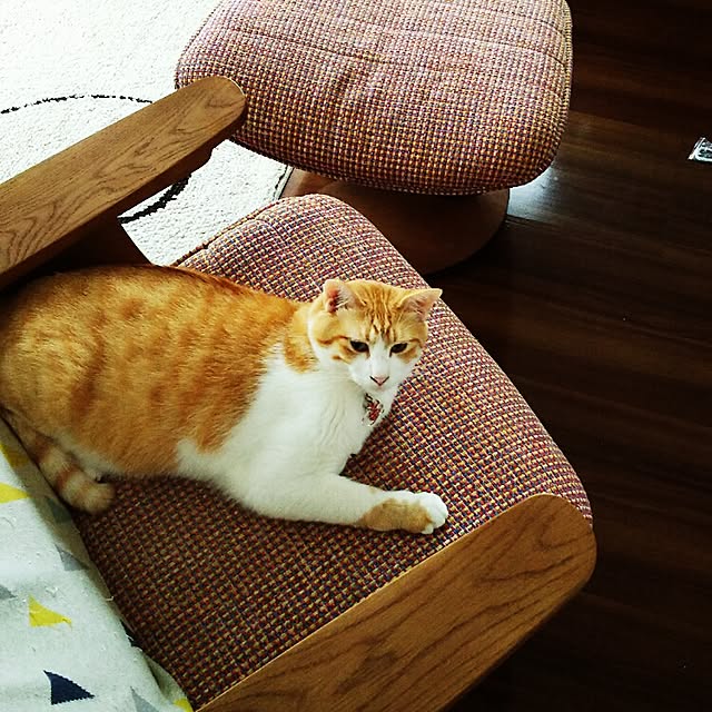 nyariさんの実例写真