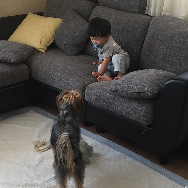 satsukiさんの実例写真