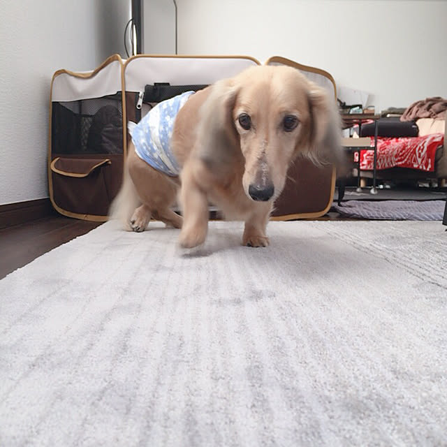 Tomo...NSR...さんの実例写真