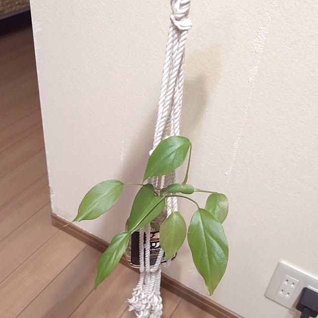 mikoさんの部屋