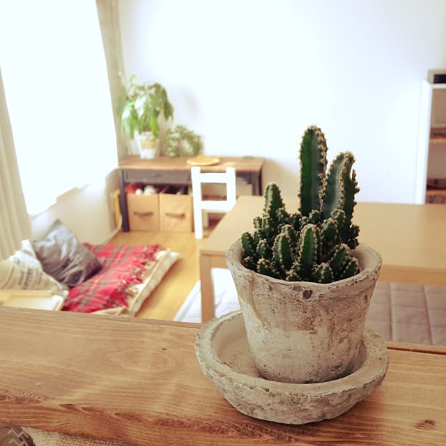 studio-fleurさんの実例写真