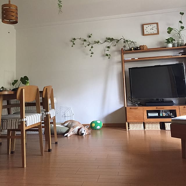 shizu2380さんの実例写真