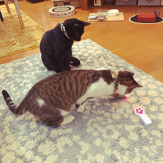 jijiさんの実例写真