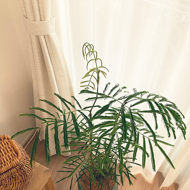 green3さんの部屋