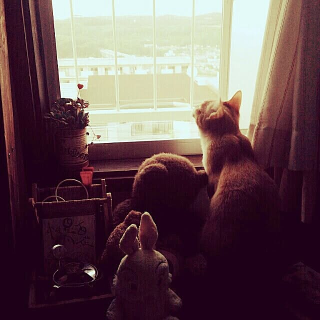 Ritaさんの実例写真