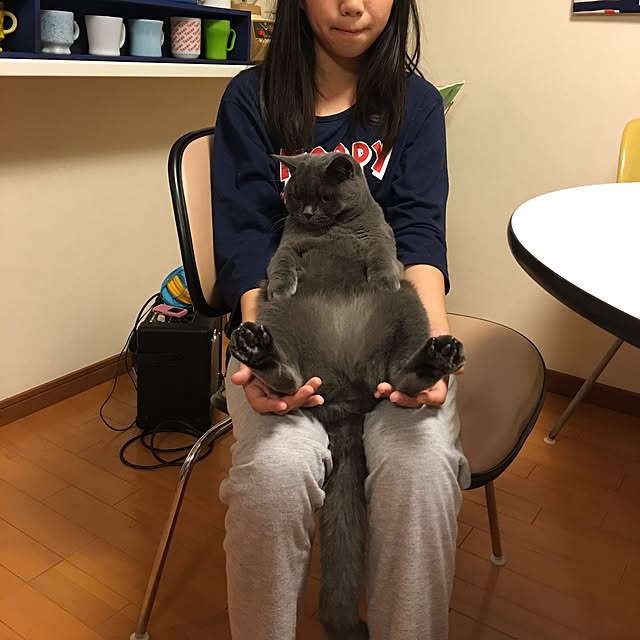 Shojiさんの実例写真