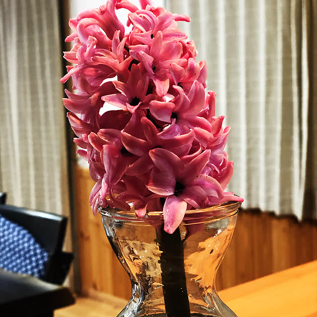 miyaさんの実例写真