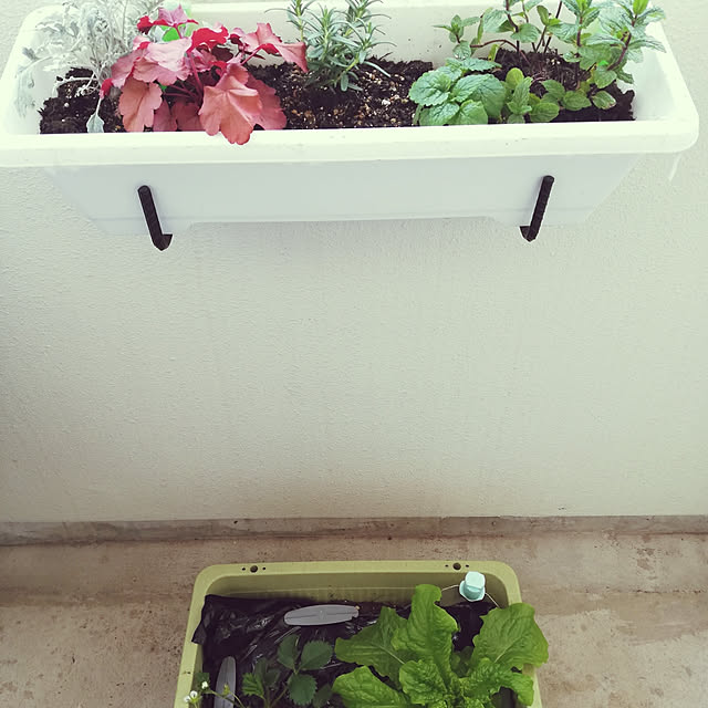 asukaさんの実例写真