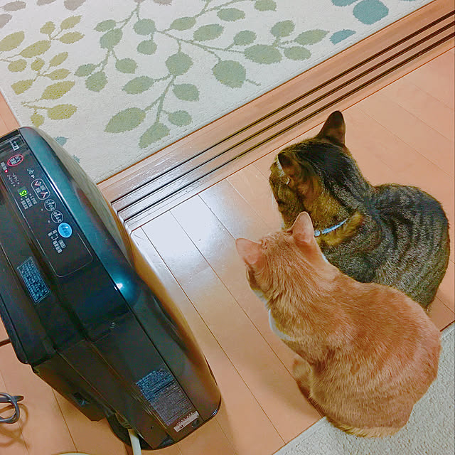 cocomaroさんの実例写真