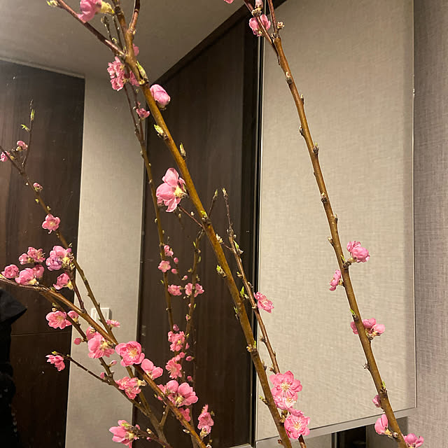 mikoさんの実例写真