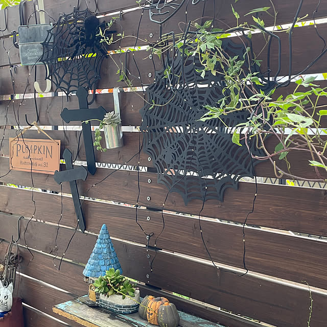 nobikoさんの部屋