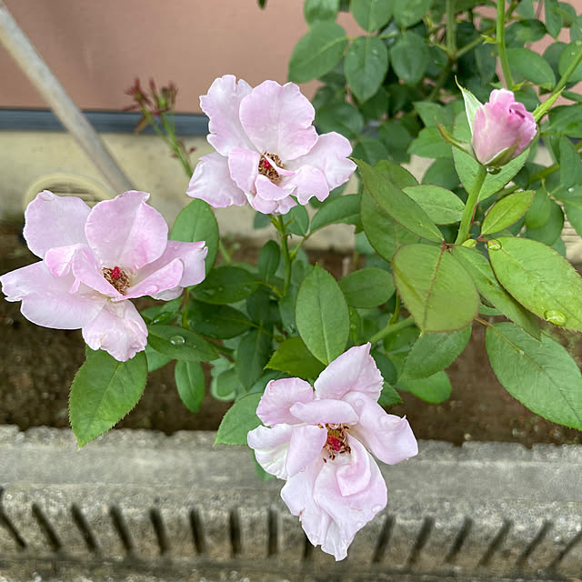 kakoさんの部屋