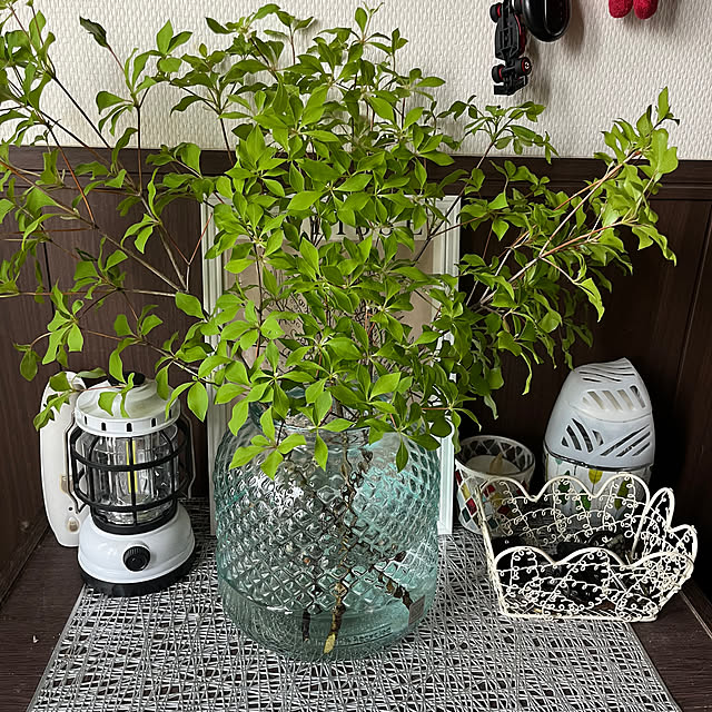 lnonlove12さんの実例写真