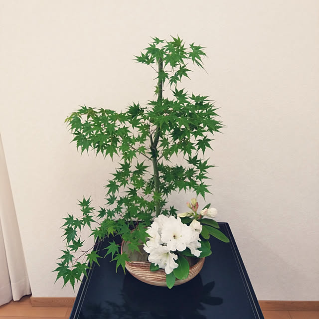 Green-appleさんの実例写真