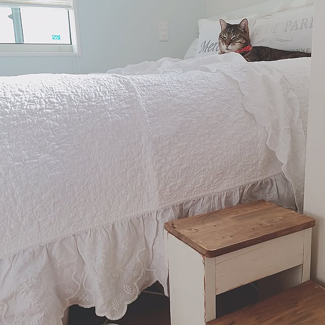 lovecatさんの実例写真