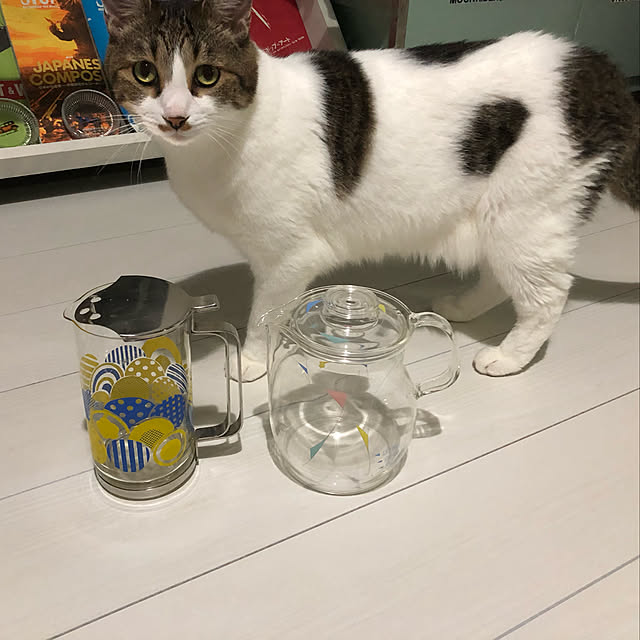 arayanさんの実例写真