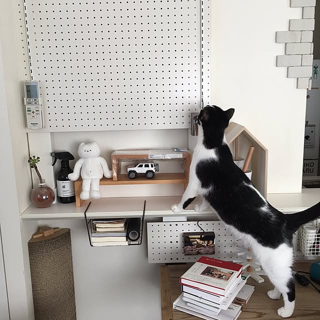 mikomaruさんの実例写真