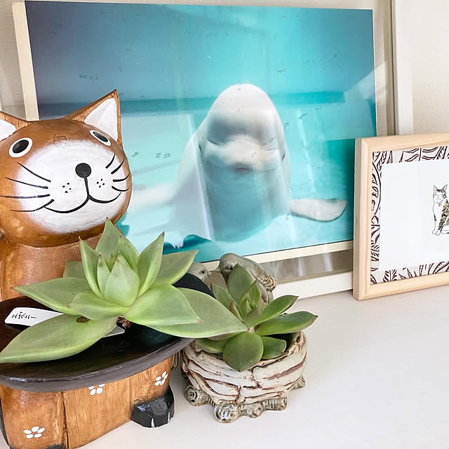 yuaroomさんの部屋