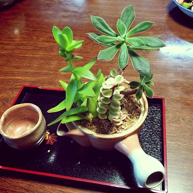 tarohagiharaさんの実例写真