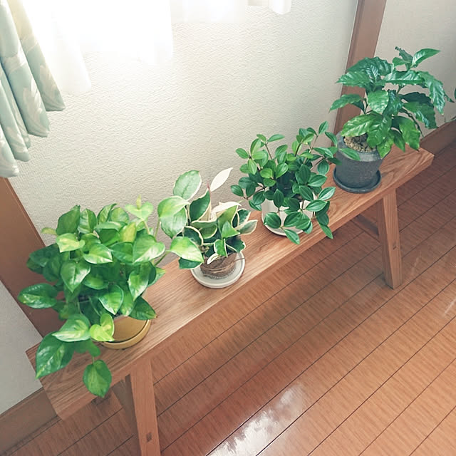 ayaさんの実例写真