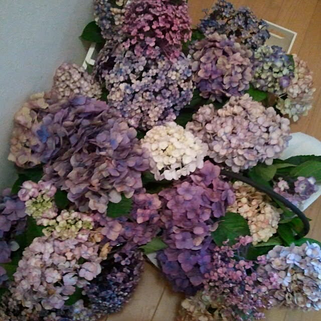 Kumikoさんの実例写真