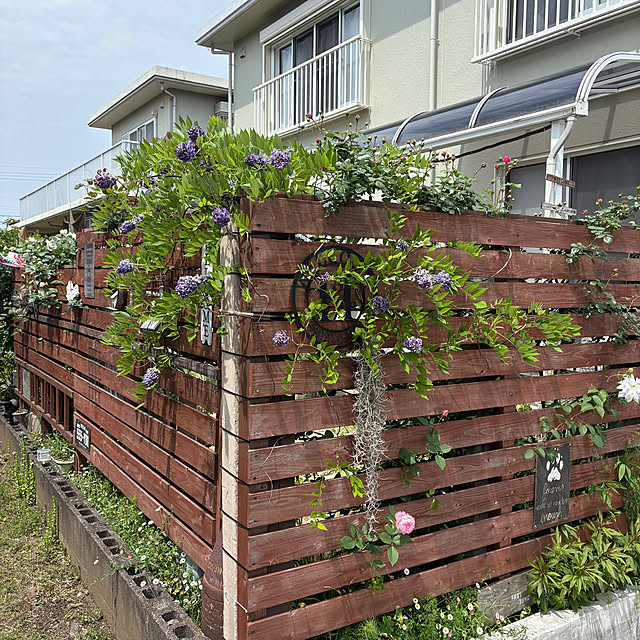 mayumiさんの部屋