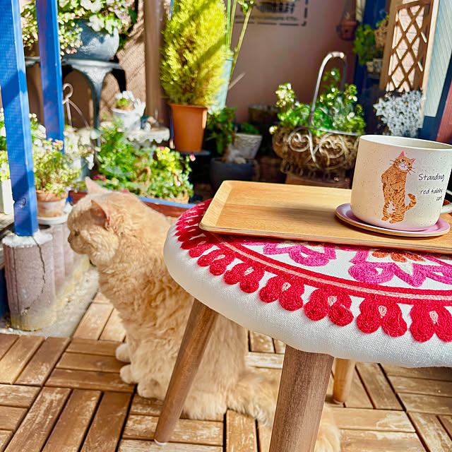 naokoさんの部屋