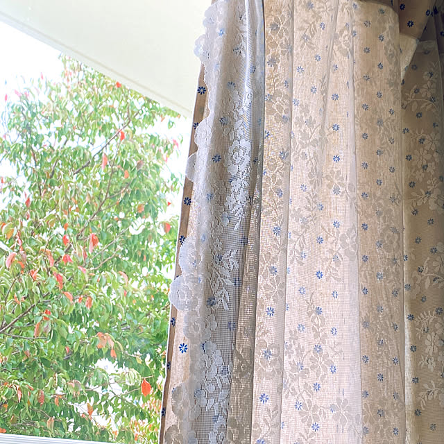 anzさんの実例写真