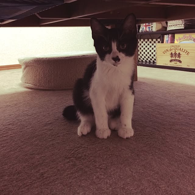 mari23さんの実例写真