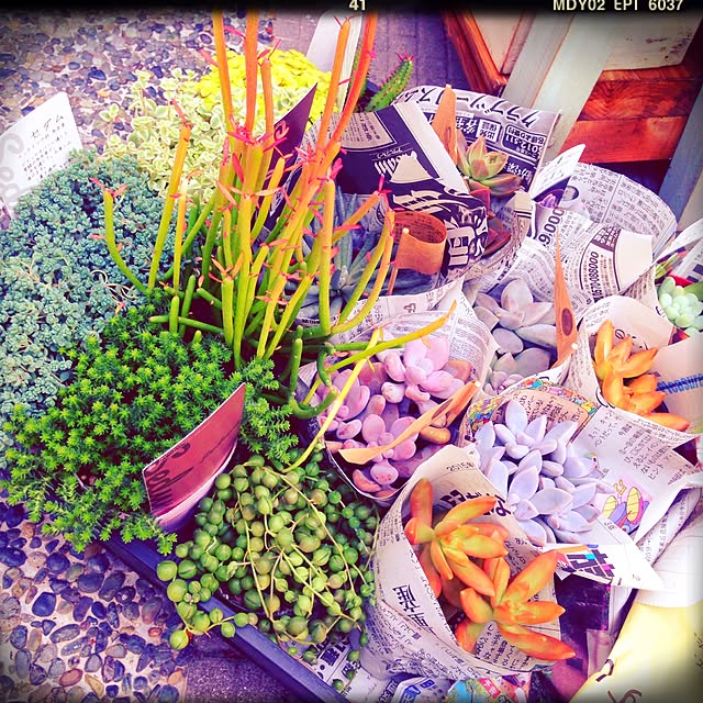 Rans_andy.さんの実例写真