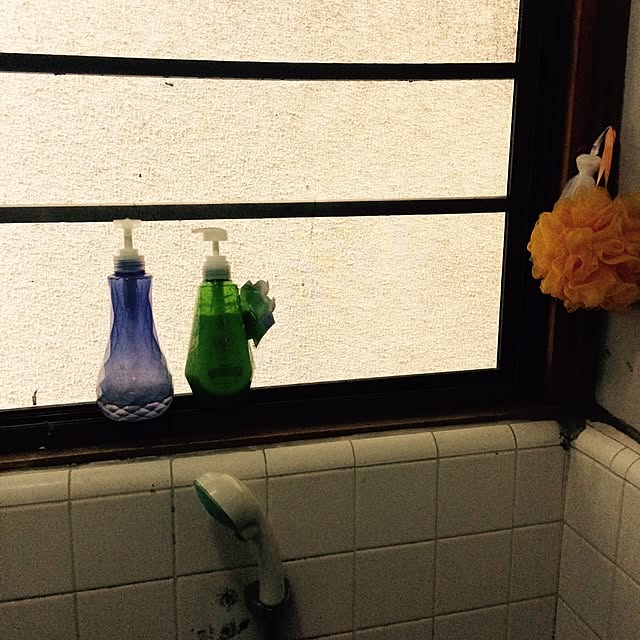 horurunさんの実例写真