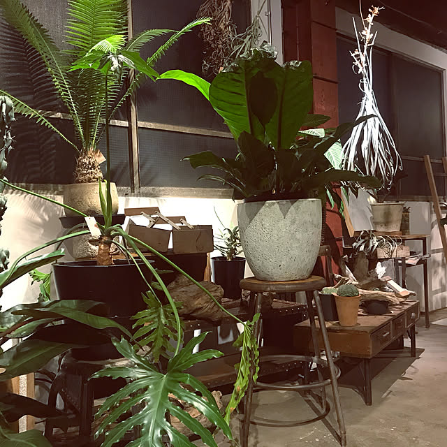 nonさんの実例写真