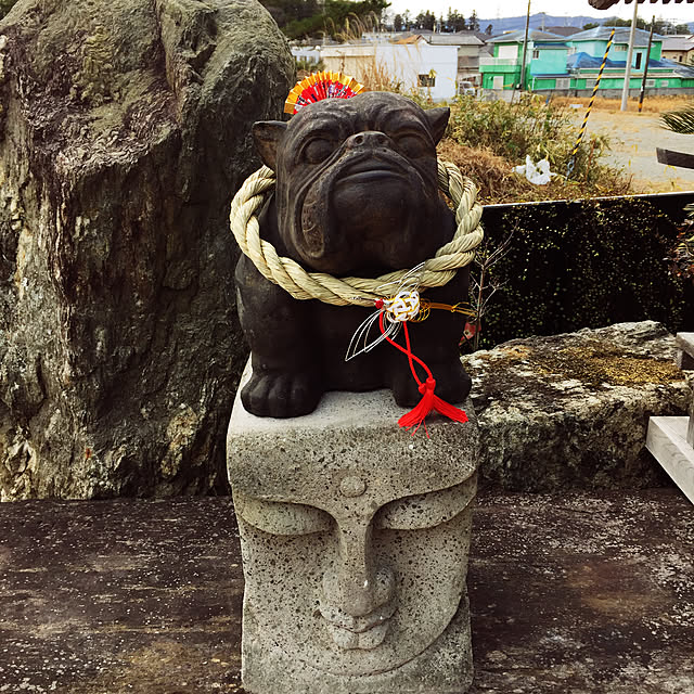 実例写真