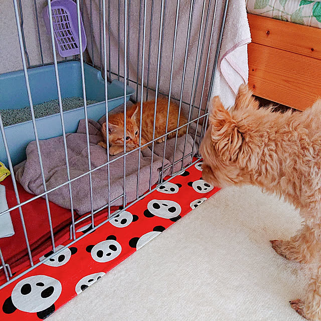 kikiさんの実例写真